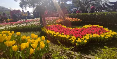 【KPI以外的快樂】辦公桌與追星海報