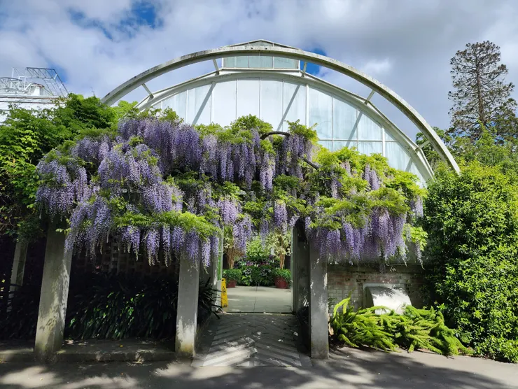 植物園裡的某座溫室