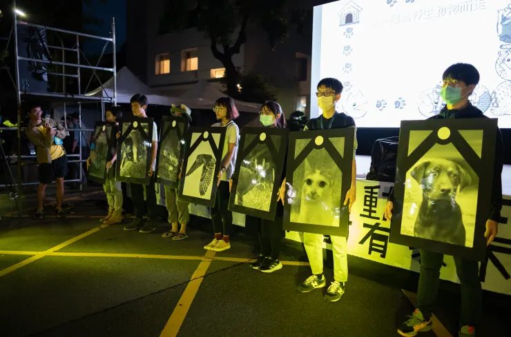 願這些生靈安息,更願島上不會再出現犬齒下的受害者。 我們要帶著他們逝去的生命,為往後的每一條生命,找回更好、更安心、更有尊嚴的未來。