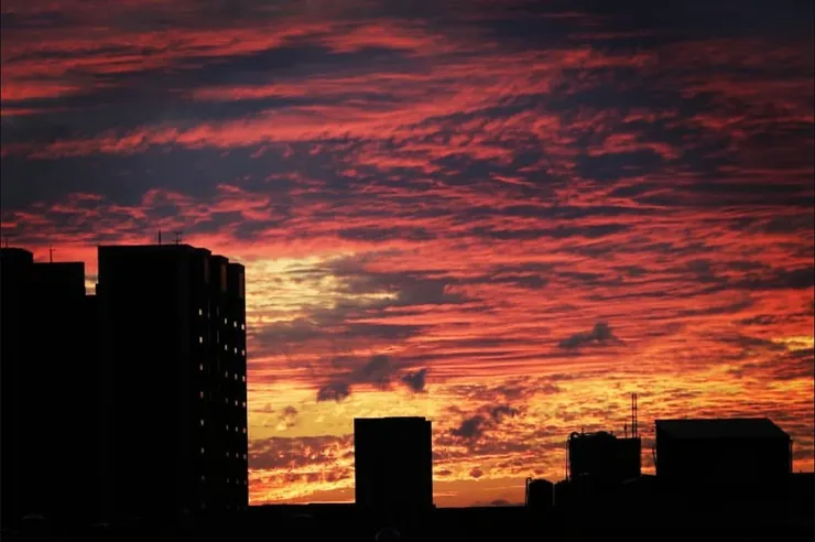 原圖未修｜庇蔭—Canon750D