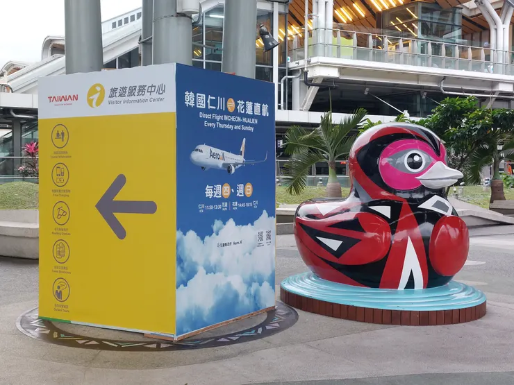 花蓮仁川直航的看板也沒有小石花 / 資料來源：林鴻鈞@並木居