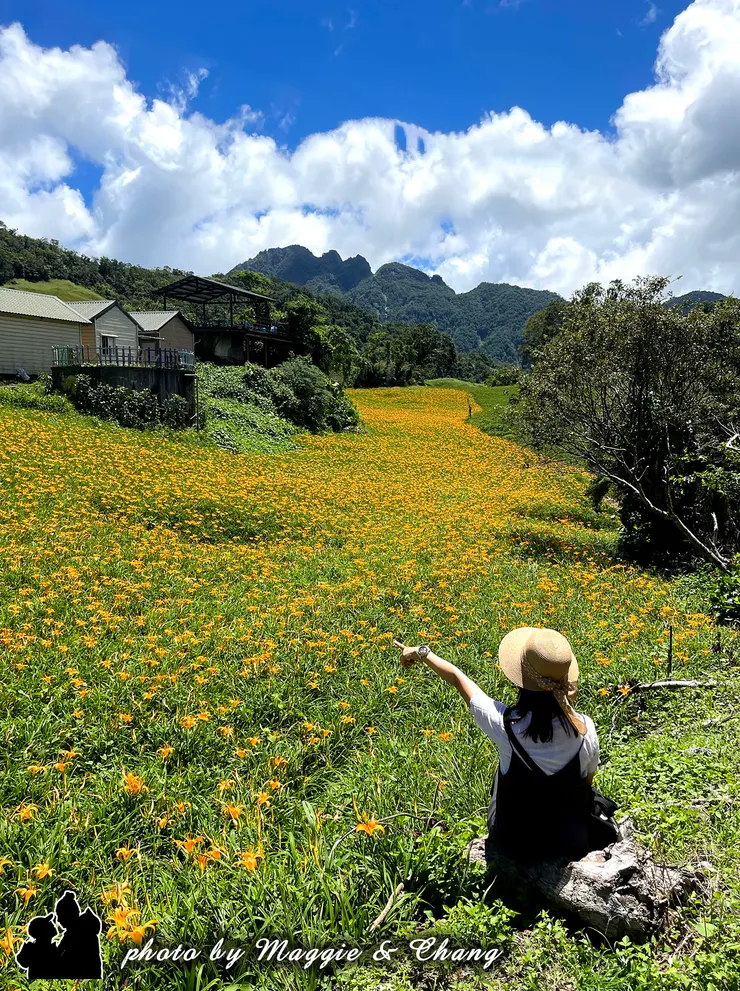 一個女孩靜靜坐在田邊，手指輕輕指向前方那片延綿的金針花田。陽光灑落，她的身影被金黃包圍，彷彿整個世界都被這片花海溫柔擁抱。