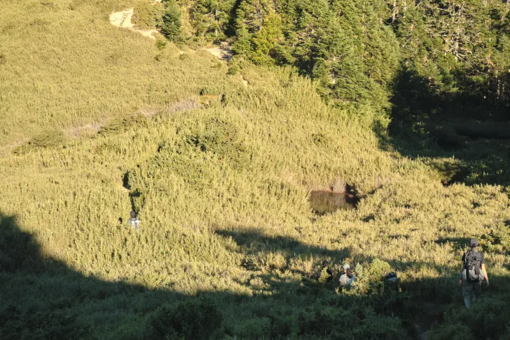 看天池 {24.179006,121.261948}