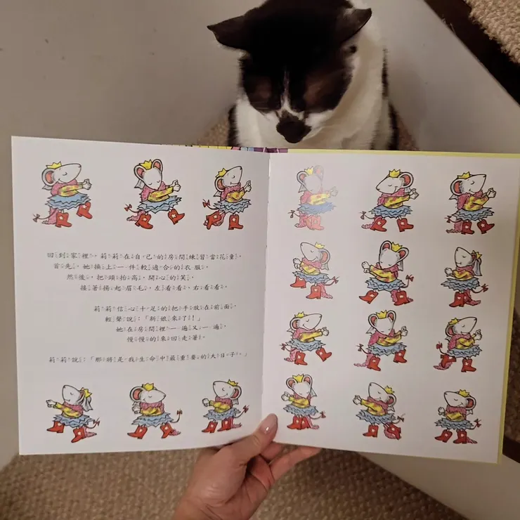 《莉莉的大日子》