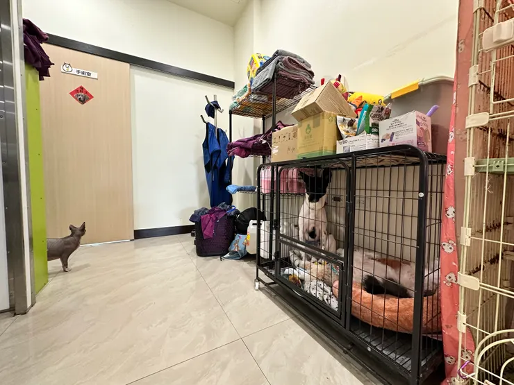 後面一點是院寵的家，之前還有超可愛的狐獴😍是一家除了犬貓，也提供特殊寵物照護醫療的動物醫院喔！