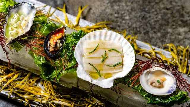 Wolfsbane, San Francisco