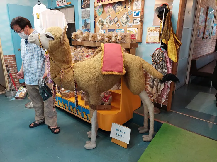 販賣部的駱駝(右邊那個走道過去就是休息室)