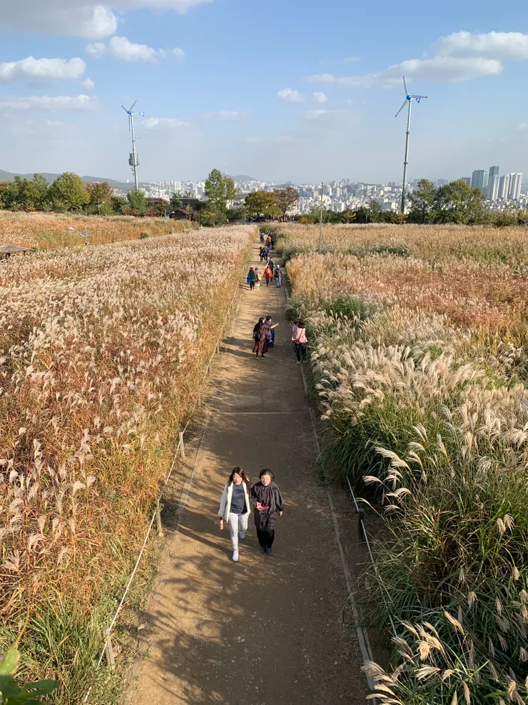 從觀景台往下拍的樣子