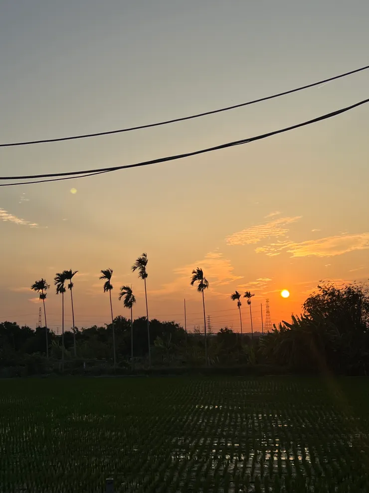 美麗的夕照