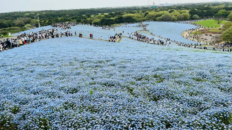 動線都是有規劃過的。