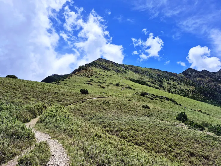 ▲審馬陣大草原
