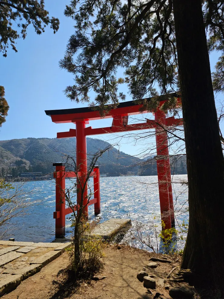 有名的鳥居--需要排隊很久