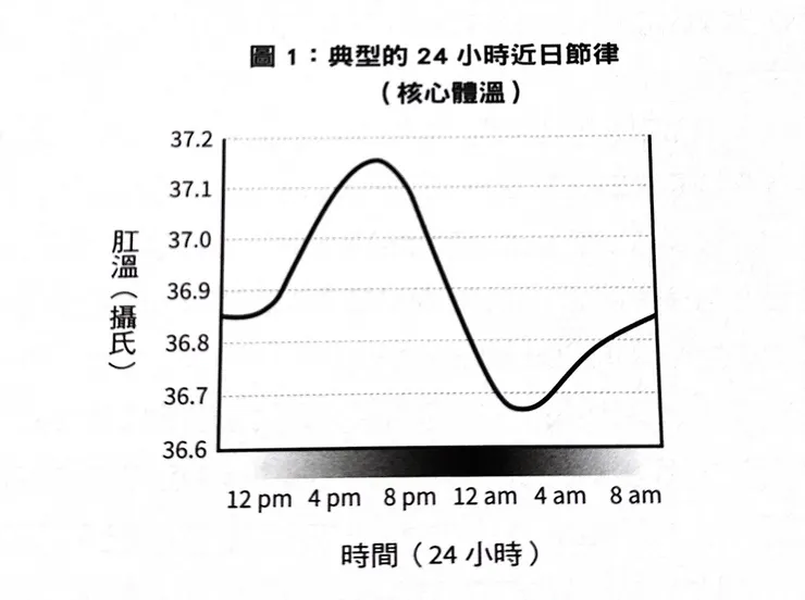 體溫 VS 近日節率(截自《為什麼要睡覺》)