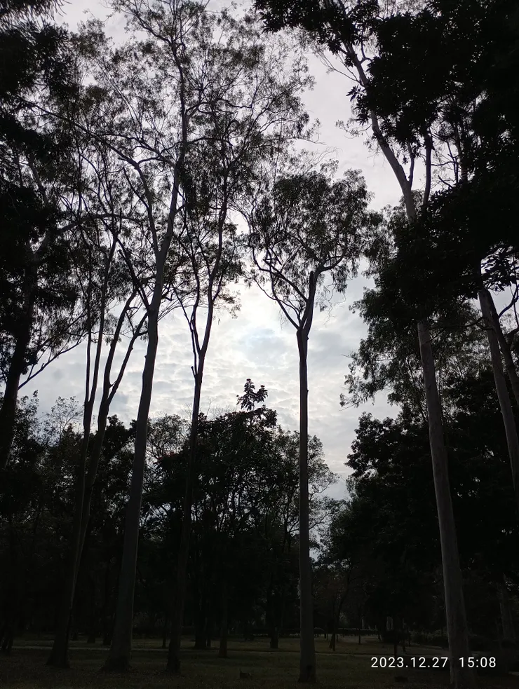 不縱放千種風情，更向自己說！