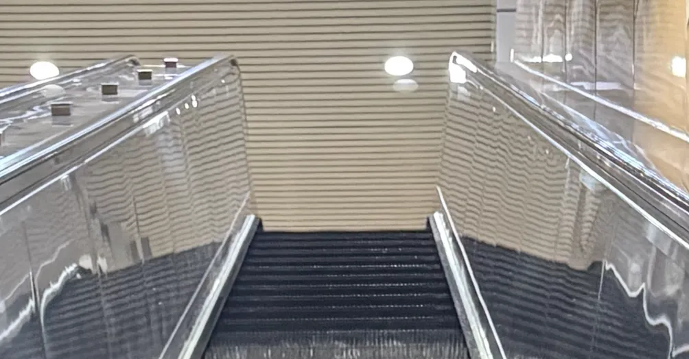 Dim 生活裡的微光