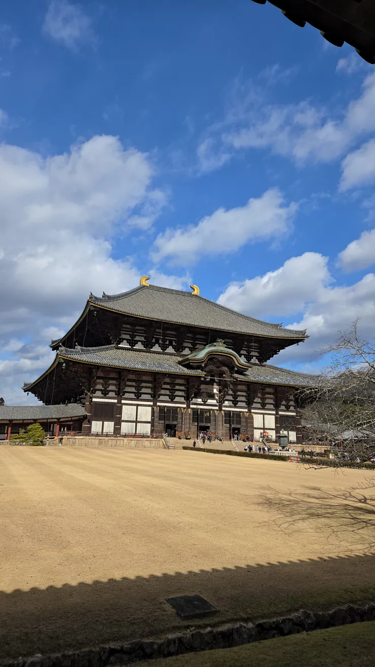 東大寺側照
