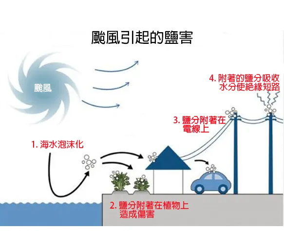 颱風引起的鹽害