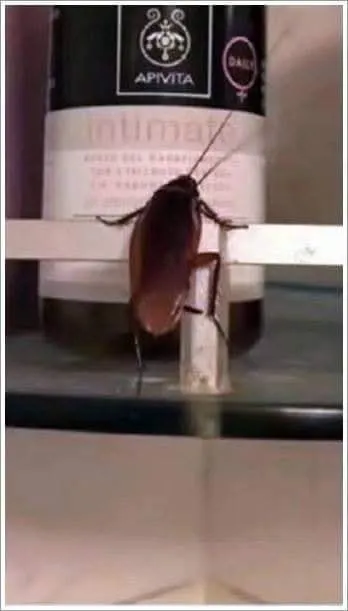 他用兩手攀著上面，兩腳再向上縮；他肥胖的身子向左微傾，顯出努力的樣子，這時我看見他的背影，我的淚很快地流下來了。我趕緊拭乾了淚。 