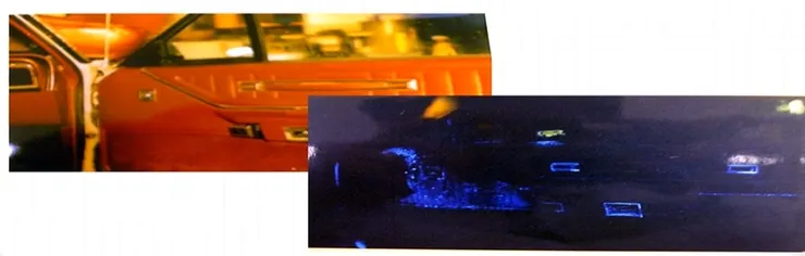 魯米諾(Luminol)反應