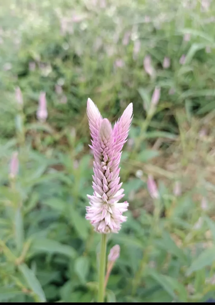 人生有非常多的形式，逃不開的是每人都有自己該面對的責任