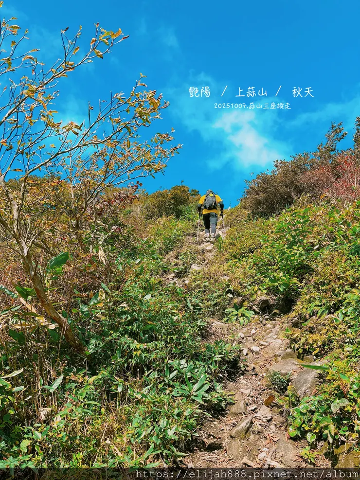 【2025初秋.岡山県真庭市】蒜山三座縱走/下蒜山(海拔11