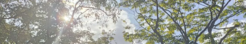 Jessica楊的心靈花園