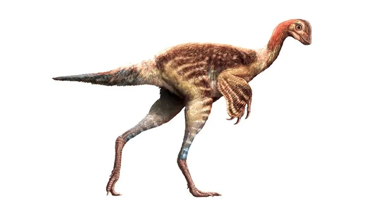 圖文來源：Royal Tyrrell Museum