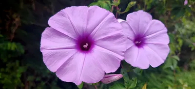 來玩有趣的小遊戲吧！解讀你的當下