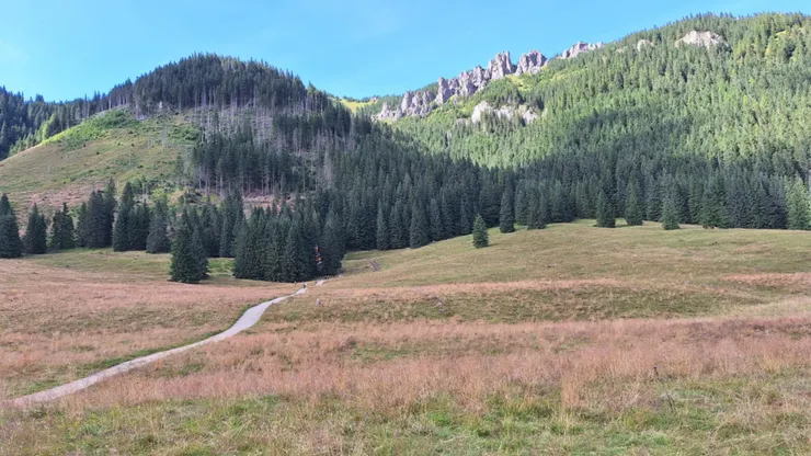 Polana Chochołowska