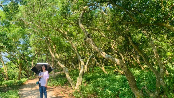 這樣走起來還是舒服多了。