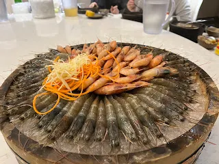 在讀到有關於肌肉的相關資料後，了解到百分之七十的肌肉集中在人體的下半身，所以說光是行走就要動用大部分的肌肉，這表示行走並不是一件容易的事。也可以說明，為何退化都先從腳開始？因為大部分的肌肉都在這裏，如果不好好鍛鍊，那就會開始退化。