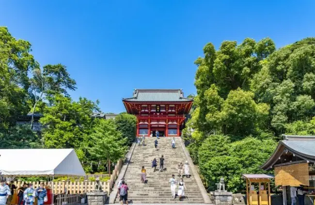 鐮倉鶴岡八燔宮 by matcha-jp