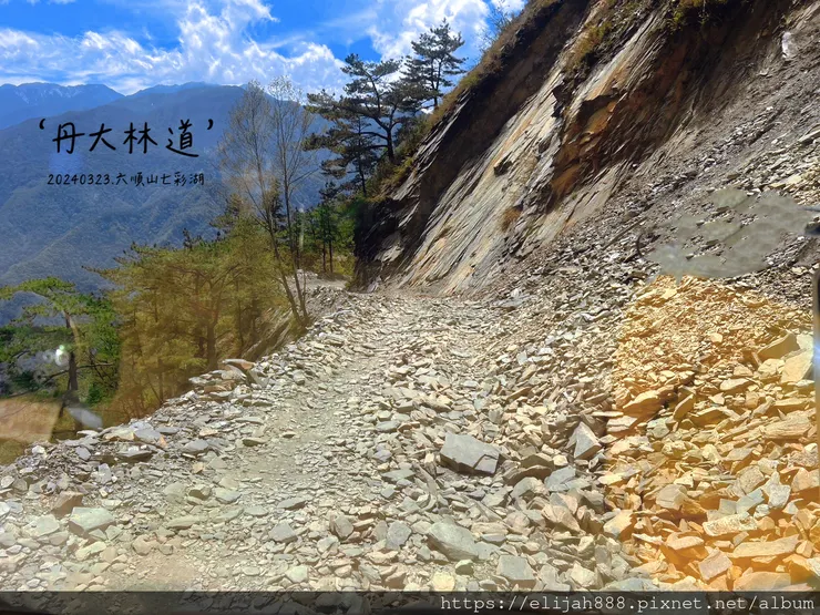 【丹大林道.六順山.七彩湖】南投縣地利村哈木山民宿/丹大林道