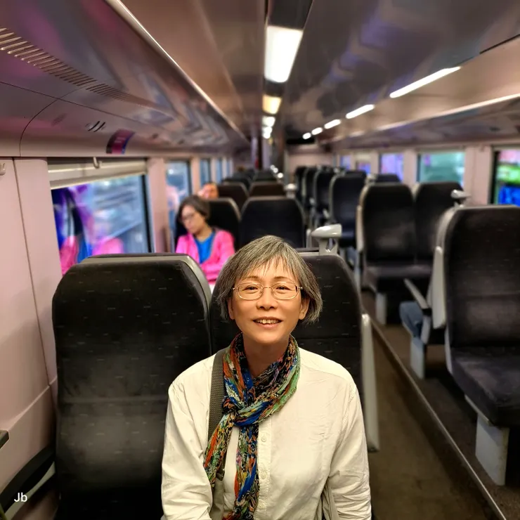 【在往安特衛普-貝爾克姆的火車上】