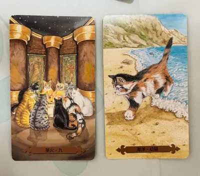 看來的確是不容易呢