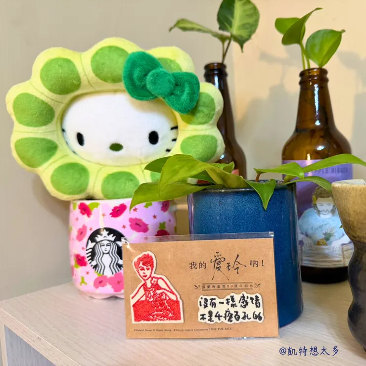 綠藻Kitty，杯子和植物們.
