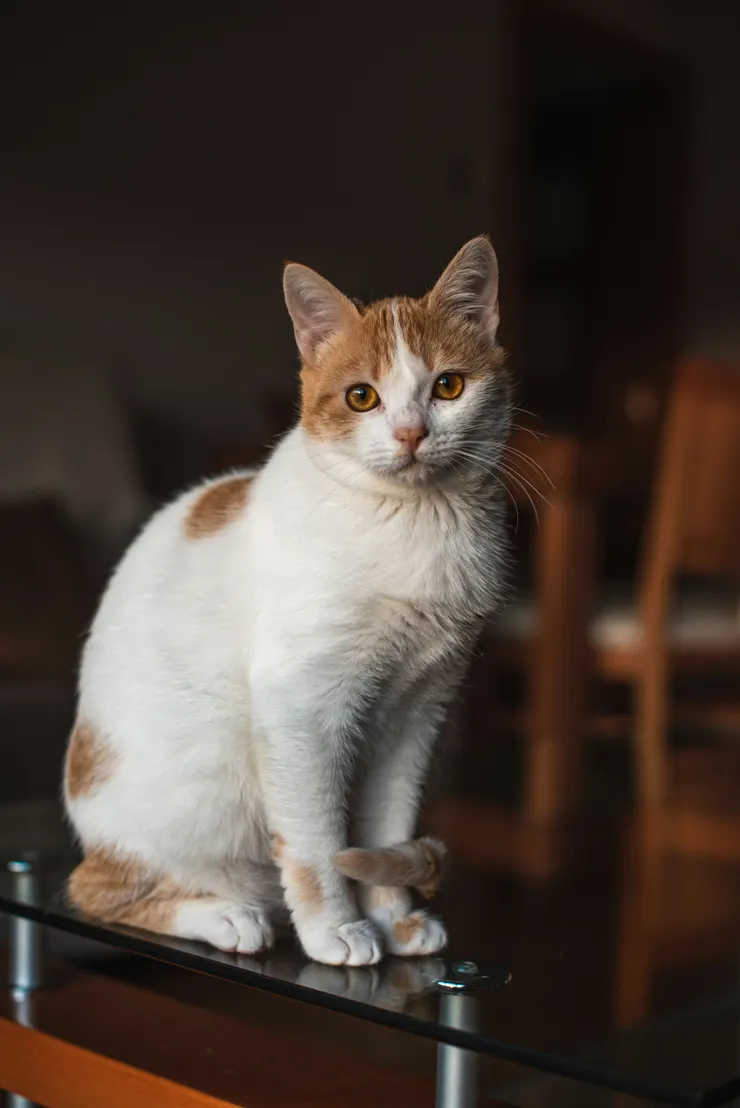Photo by Juan Manuel Sanchez on Unsplash