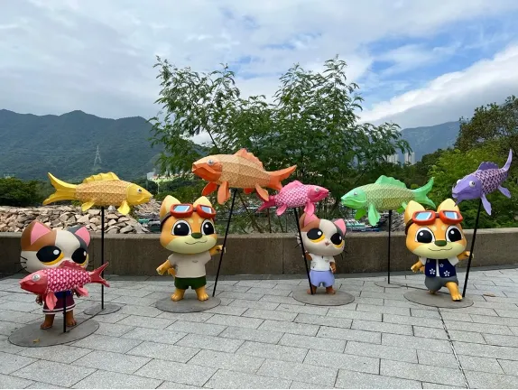 魚燈廣場的4隻貓貓