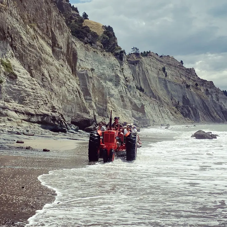 拍攝於紐西蘭Napier 海岸，相必百年前的基隆東北角海岸也是如此景象