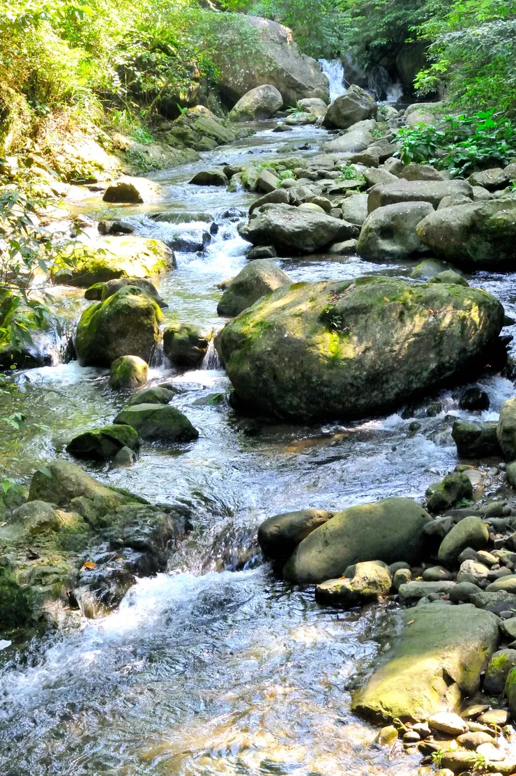 【四十二份湧泉常年水溫十八度 蓬萊賞魚聽溪聲時為鳥鳴留步】