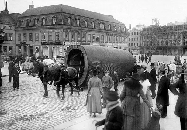 圖片來源：Naturhistoriska Museet at Slottsskogen 