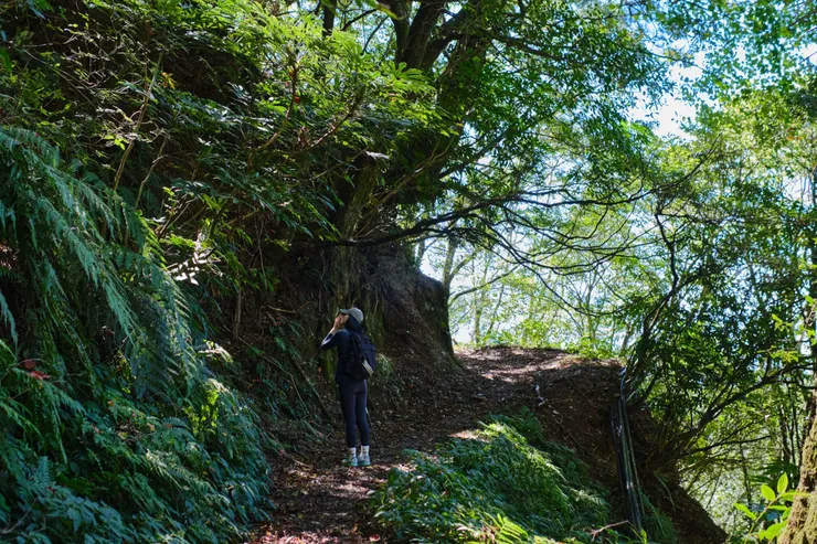 什麼都很容易使我分心