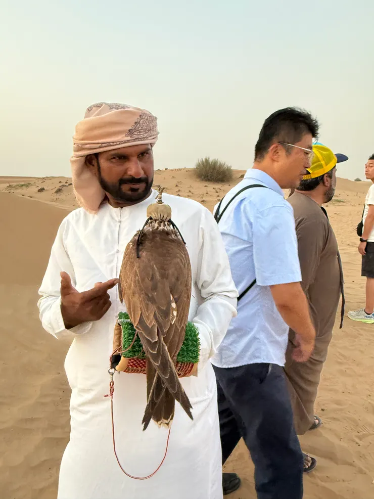 可以和獵鷹拍照，一次AED10元（但可以跟他講價）