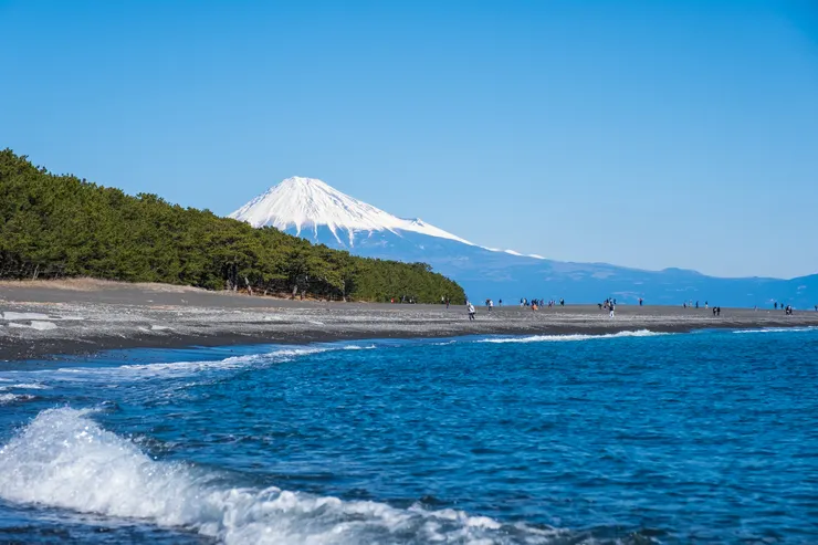 靜岡側的富士山&駿河灣