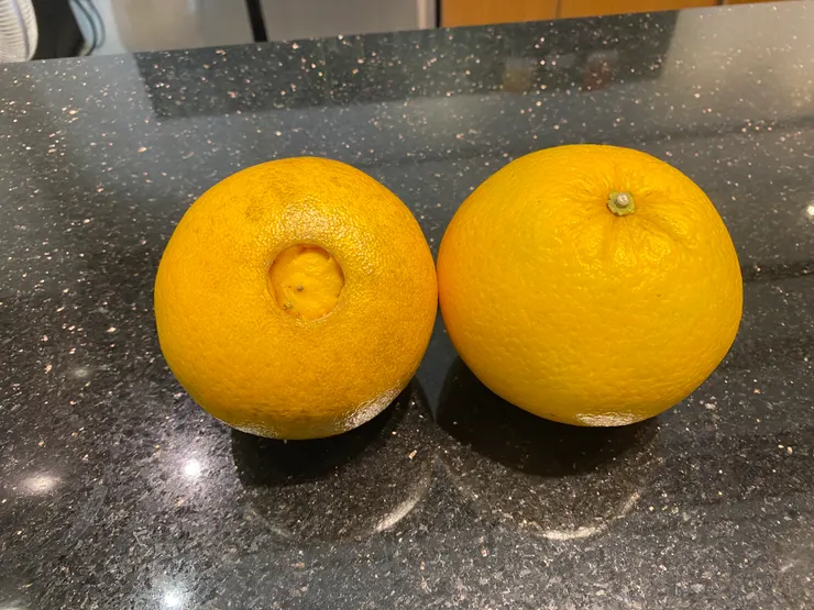 來自台東香氣逼人的肚臍柑