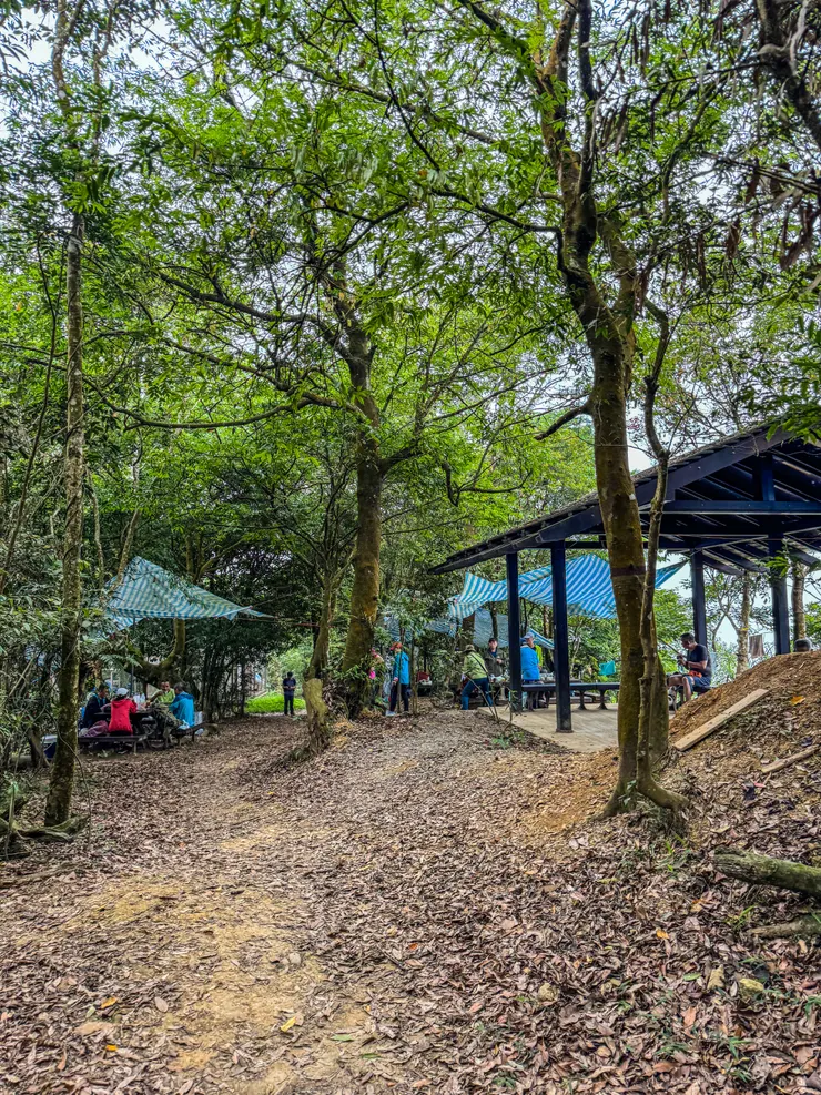 大凍山步道為台南熱門的山徑