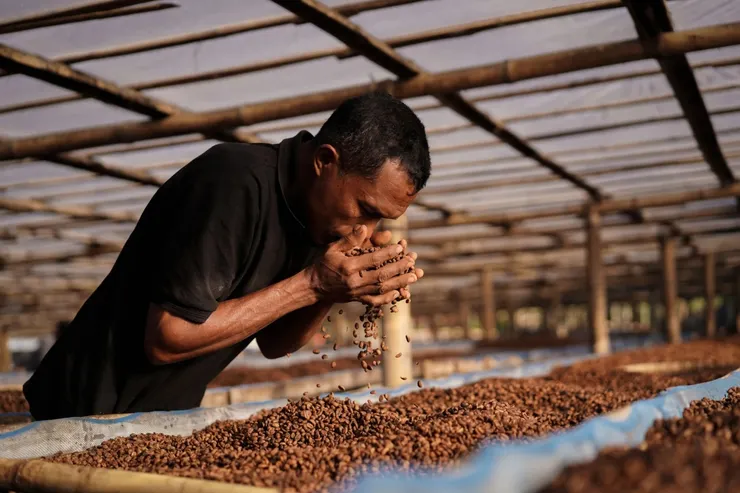 水果怪獸 水果厭氧日曬