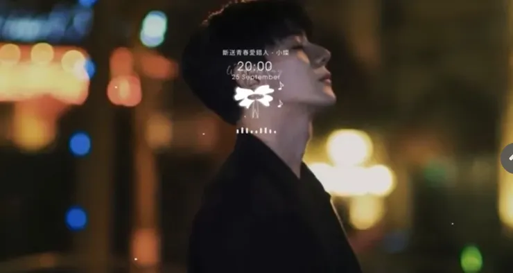 斷送青春愛錯人