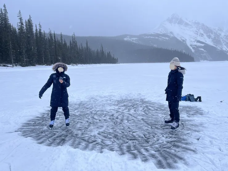 辛苦勞動的成果