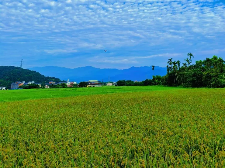 三星鄉的田園景致令人神清氣爽、心情暢快。（攝影／楊素君）